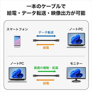 ホ－リック USB Type C ケーブル 1m USB4．0 UC10-764BB-イメージ2