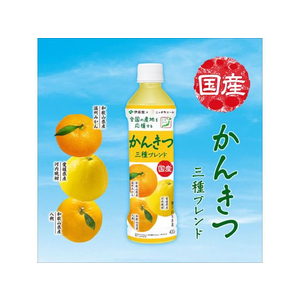 伊藤園 ニッポンエール国産かんきつ三種ブレンド400g×24本 FC800PW-イメージ2