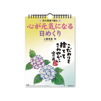 新日本カレンダー 花の詩画で綴る 心が元気になる日めくり FC103SK-NK8656