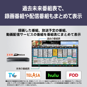 パナソニック 42V型4K対応有機ELテレビ VIERA TV-42Z85A-イメージ15