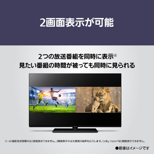 パナソニック 42V型4K対応有機ELテレビ VIERA TV-42Z85A-イメージ18