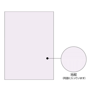 ヒサゴ コピー偽造予防用紙浮き文字A4両面100枚 F125876-BP2110-イメージ2