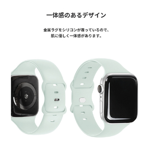 EGARDEN Apple Watch 41mm/40mm/38mm用SILICONE BAND ブラック EGD21772AWBK-イメージ11