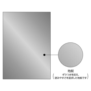 ヒサゴ コピー偽造予防用紙 メタル A4 20枚 F125878-BP2108-イメージ2