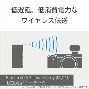 SONY ワイヤレスマイクロフォン ECM-W3-イメージ3