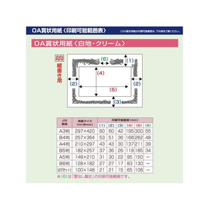 タカ印 厚口OA賞状用紙 白 B4判 縦書用 10枚 FC452RL-10-1270-イメージ7