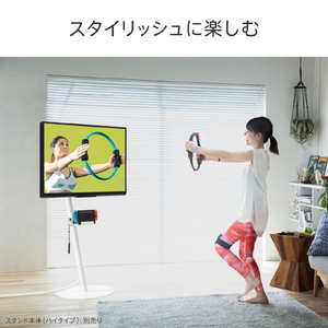 ナカムラ WALL テレビスタンド anataIROレギュラー･ハイタイプ対応ポータブルゲーム機ホルダー EQUALS・WALLシリーズ サテンホワイト M05000244-イメージ3