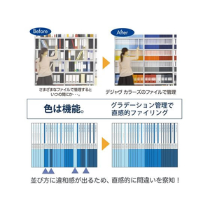 プラス デジャヴカラーズ インデックスシート A4 クールトーン 89428 FCS2092-89428/FL-102IX-イメージ3