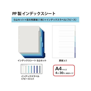 プラス デジャヴカラーズ インデックスシート A4 クールトーン 89428 FCS2092-89428/FL-102IX-イメージ4