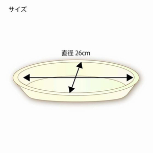 シモジマ 徳用バガスプレート 仕切付 φ26cm GPY-26 50枚 FC227NJ-004466092-イメージ3