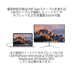 JAPANNEXT 27型液晶ディスプレイ シルバー JN-T27WQHD-C65W-イメージ2