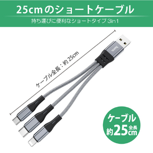 JTT 3in1ケーブル 25cm hoco X47 ブラック X47-3IN1S-BK-イメージ4