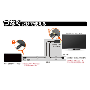 カシムラ HDMI変換ケーブル Type-C専用 ブラック KD-208-イメージ4