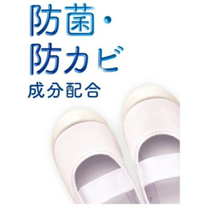 Ｓｃｈｏｌｌｓ Ｗｅｌｌｎｅｓｓ Ｃｏｍｐａｎｙ ドクター・ショール 消臭・抗菌靴スプレー 無香性 40mL FCS8361-349483-イメージ3