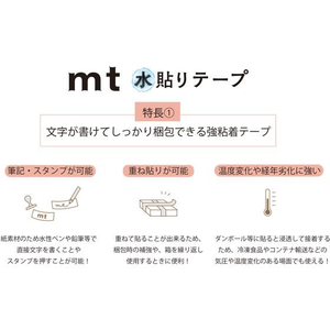 カモ井 mt 水貼りテープ ヴィンテージケアマークホワイト FCT0362-MTGAMT06-イメージ7