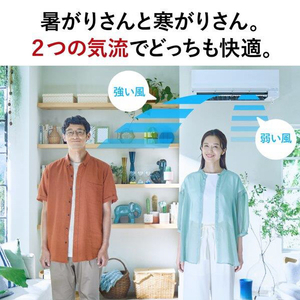 三菱 「工事代金別」 20畳向け 自動お掃除付き 冷暖房省エネハイパワーエアコン 霧ヶ峰 FZシリーズ FZシリーズ MSZ-FZ6324S-Wｾｯﾄ-イメージ11