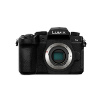 パナソニック デジタル一眼カメラ・ボディ LUMIX DC-G99M2