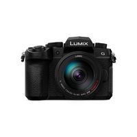 パナソニック デジタル一眼カメラ・レンズキット LUMIX DC-G99M2H