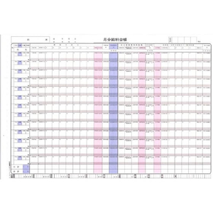 日本法令 トータル式給与明細書・給与台帳 F174214-イメージ2