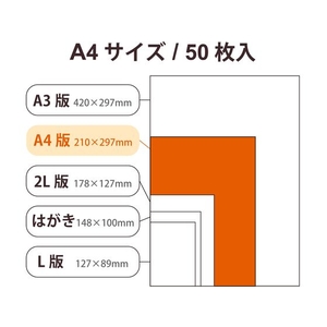 エレコム 写真用光沢紙 厚手 A4 50枚 FC267PX-EJK-HQA450-イメージ6