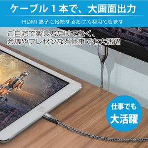 JTT hoco UA15 HDMI 変換ケーブル for iOS ブラック UA15-LH-BK-イメージ4