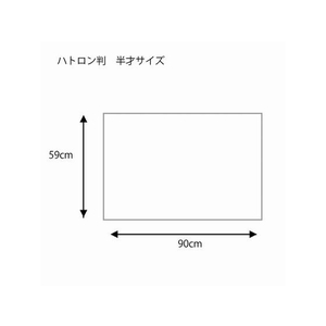 ヘイコー 包装紙 ハトロン判 半才特厚 特厚 シルバーアント 100枚 FC210SC-002349500-イメージ4