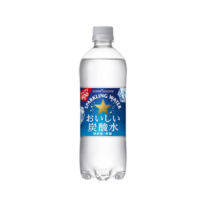 ポッカサッポロ おいしい炭酸水 600ml F873600-イメージ1