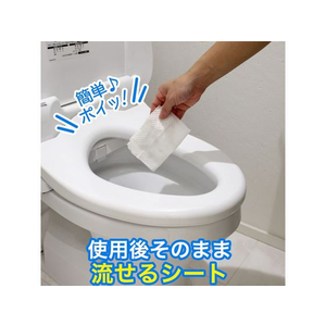 レック 激落ちくん 流せる除菌トイレクリーナー24枚 FCD0225-S00280-イメージ3