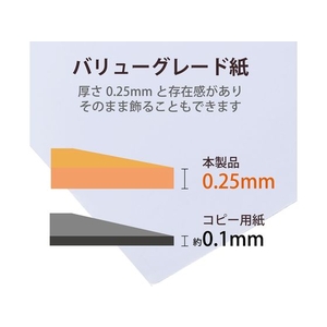 エレコム 写真用光沢紙 厚手 A4 100枚 FC293PX-EJK-VLA4100-イメージ4