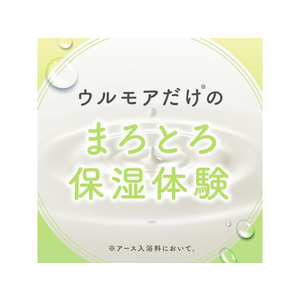 アース製薬 ウルモア 高保湿入浴液 ボタニカルナチュラルハーブ本体600mL FC226NW-イメージ5