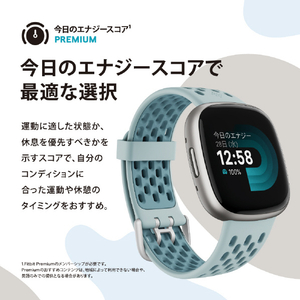 Fitbit スマートウォッチ L/Sサイズ Versa 4 Black/Graphite FB523BKBK-FRCJK-イメージ4