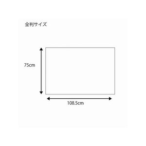 ヘイコー 包装紙 全判 フラワーカクテル 100枚 FC240SC-002353400-イメージ3