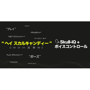 Skullcandy ヘッドフォン CRUSHER ANC 2 TRUE BLACK S6CAW-R740-イメージ16