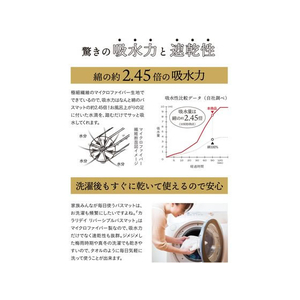 シービージャパン カラリデイ リバーシブルバスマット グレー FC620NL-イメージ4