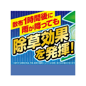 フマキラー ザッソージエース 1L FC004PN-イメージ4