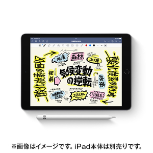 Apple Apple Pencil(第1世代) ※USB-C - Apple Pencilアダプタ同梱 USB-C - Apple Pencilアダプタ同梱 MQLY3J/A-イメージ2