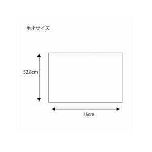 ヘイコー 包装紙 半才 プルミエール 50枚 FC279SC-002402518-イメージ4