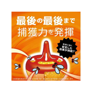 アース製薬 コバエがホイホイ つめかえエコパック(約3回分) 117g FC347MP-24-イメージ6