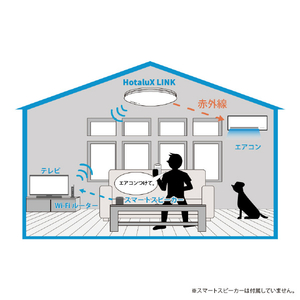 HotaluX IOTアダプター HotaluX LINK 白色 HX-LINK01-イメージ5