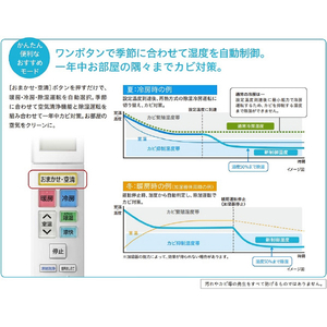 日立 「工事代金別」 14畳向け 自動お掃除付き 冷暖房省エネハイパワーエアコン e angle select 凍結洗浄 白くまくん RAS JTNE3シリーズ RASJT40N2E3WS-イメージ7