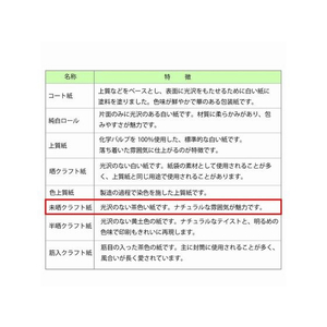 ヘイコー 包装紙 ハトロン判 半才未晒 エデン 50枚 FC286SC-002403021-イメージ3