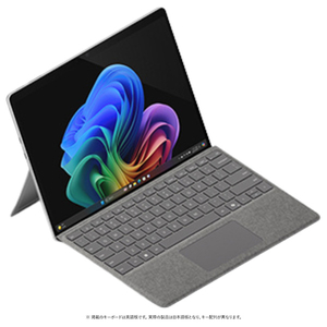 マイクロソフト Surface Pro(第11世代)(Snapdragon X Plus/16GB/256GB) プラチナ ZHX-00011-イメージ2