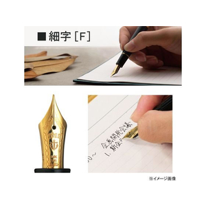 セーラー万年筆 万年筆 プロフィット スタンダード アイボリー F 細字 FCR5555-111219217-イメージ3