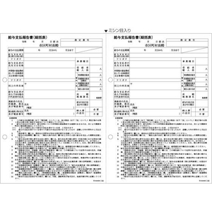 ヒサゴ 給与支払報告書(総括表)/500枚 FC245PB-GB1155-イメージ1