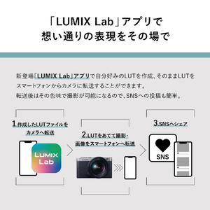 パナソニック デジタル一眼カメラ・ボディ LUMIX S DC-S9-S-イメージ15