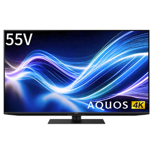 シャープ 55V型4Kチューナー内蔵液晶テレビ AQUOS 4T-C55GN1-イメージ14