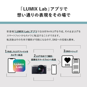 パナソニック フルサイズミラーレス一眼カメラ/広角ズームレンズキット LUMIX ジェットブラック DC-S9N-K-イメージ6