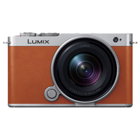 パナソニック フルサイズミラーレス一眼カメラ/広角ズームレンズキット LUMIX キャメルオレンジ DC-S9N-D