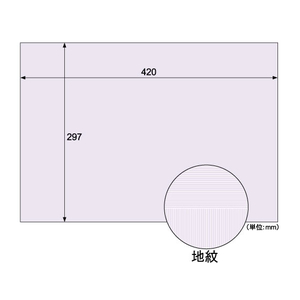 ヒサゴ コピー偽造予防用紙A3 100枚 FC258PB-BP2111-イメージ2