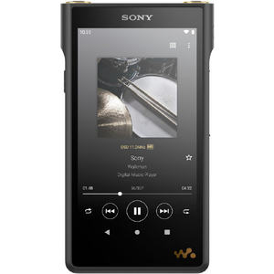 SONY デジタルオーディオプレーヤー(128GB) Walkman NW-WM1AM2-イメージ1